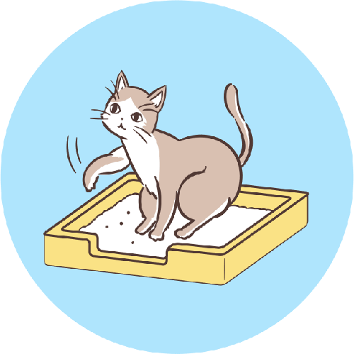 猫のトイレ こんなしぐさは要注意 理想のトイレ環境のポイント Lidea リディア By Lion