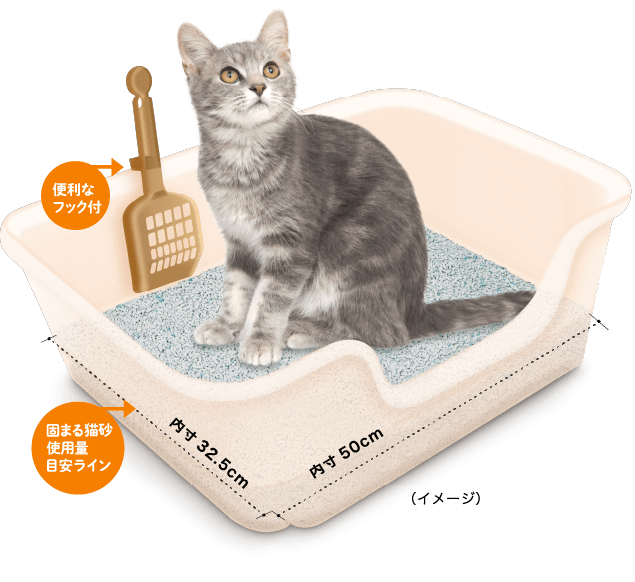 猫のトイレ、こんなしぐさは要注意！理想のトイレ環境のポイント 