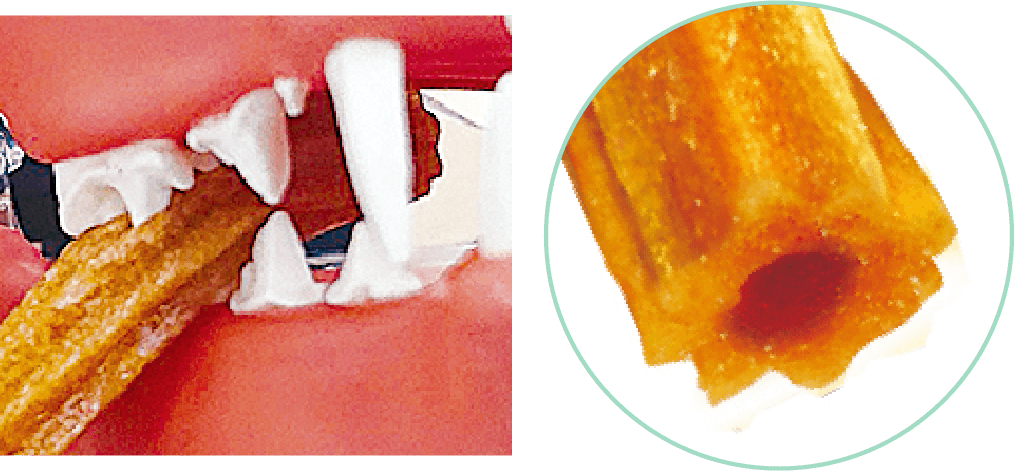 ギザギザチューブ形状　ギザギザに歯があたって歯の汚れをしっかりかき取る