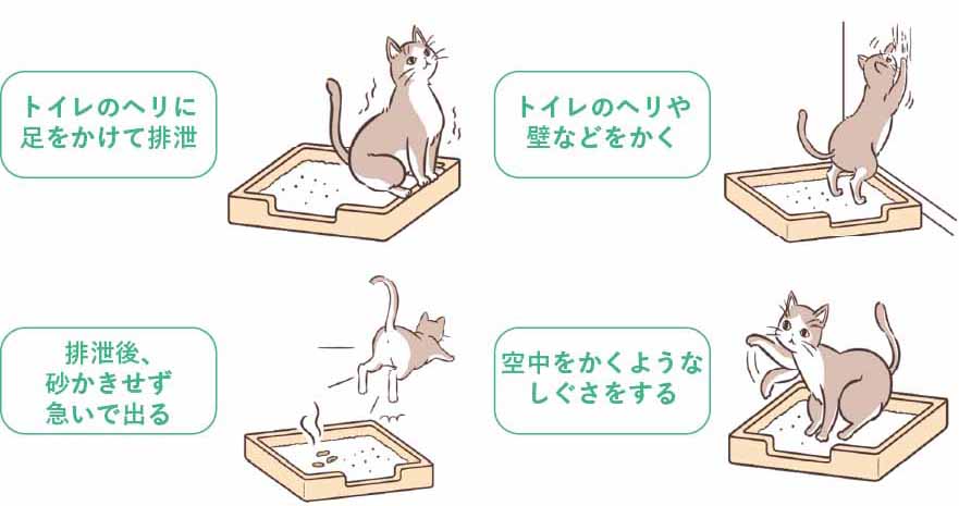 猫の粗相の原因はトイレへの不満にあった 快適なトイレ環境の作り方 Lidea リディア By Lion