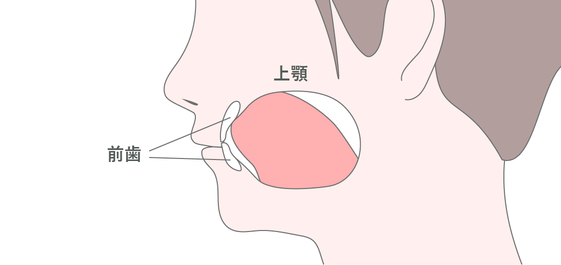 正しい舌の位置の図
