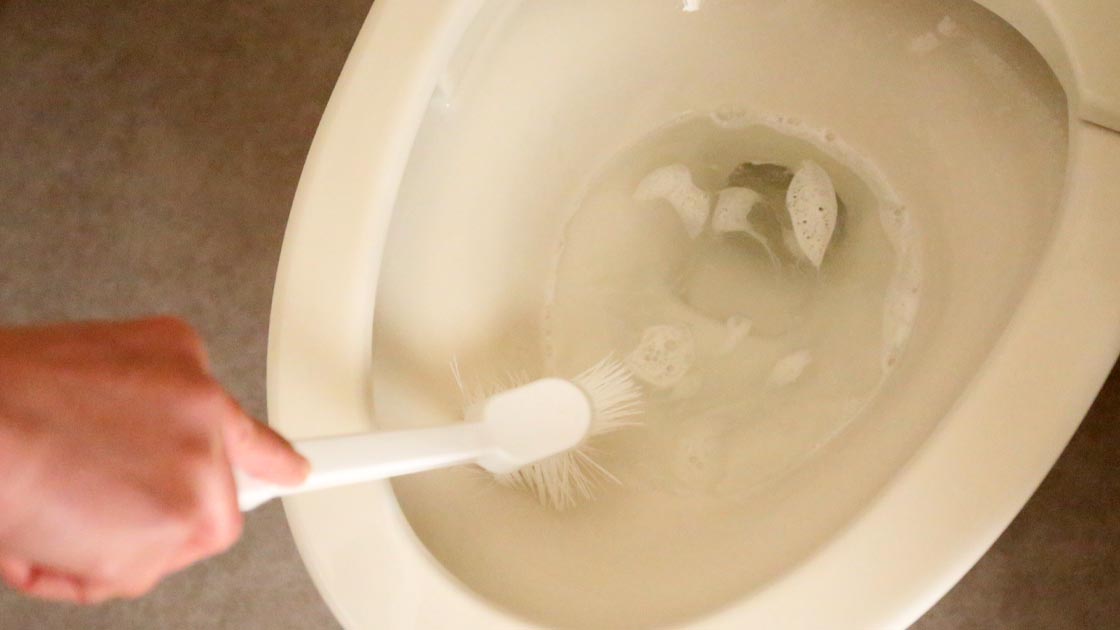 ④便器の水たまり部をトイレブラシで、こすり洗いする（30秒）