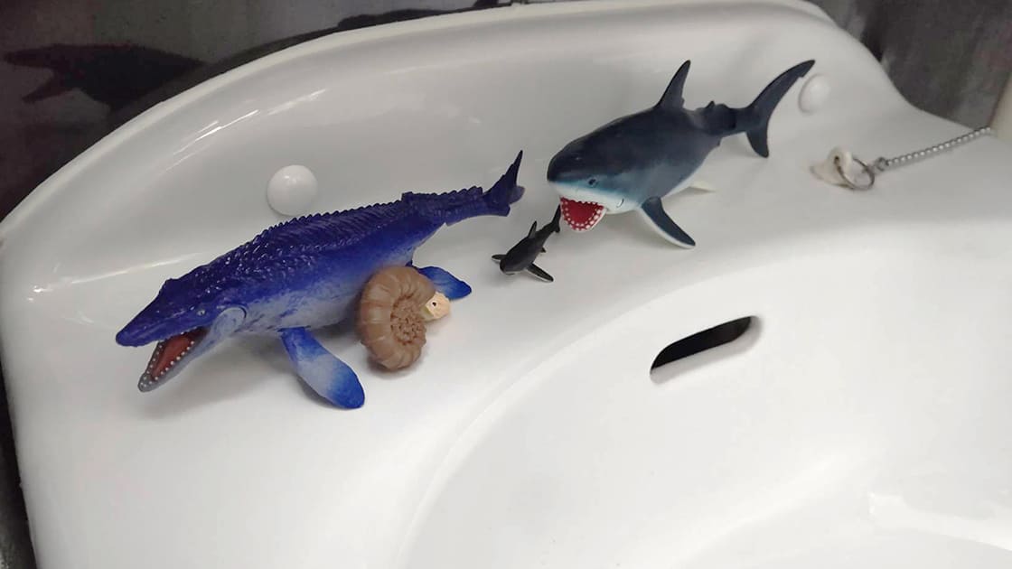 サメが増えてた洗面台