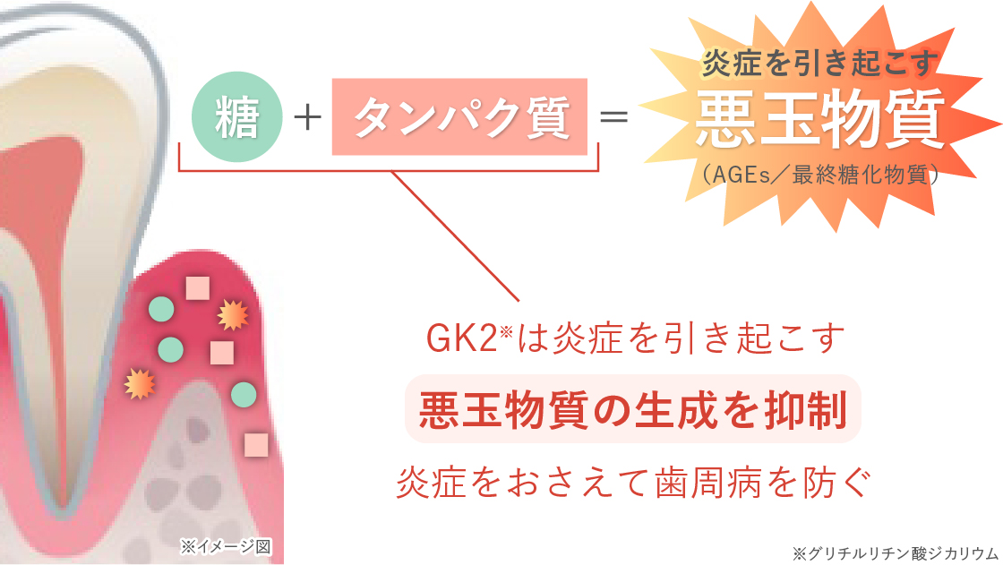 GK2の働き