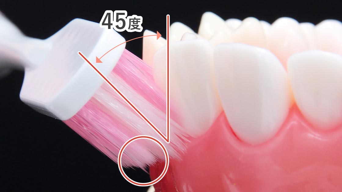 歯ぐきマッサージ