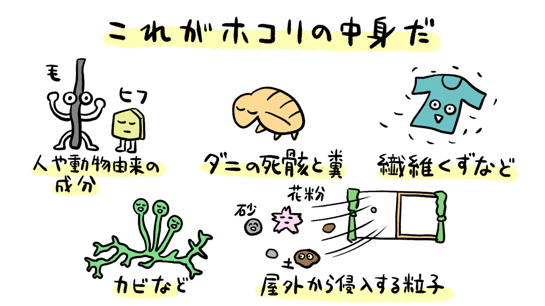これがホコリの中身だ
