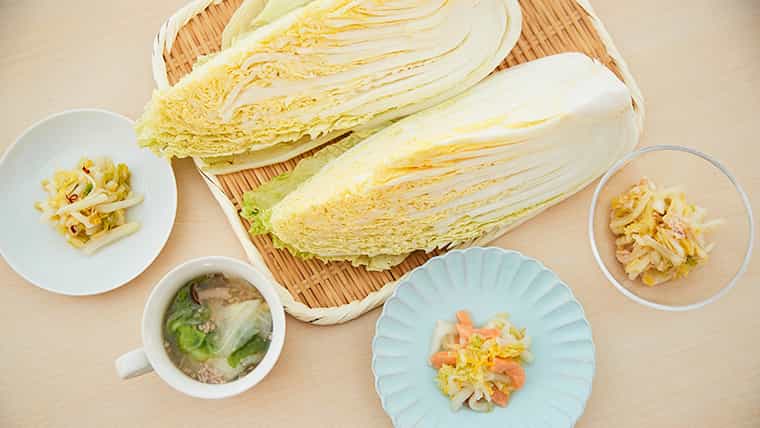 白菜を上手に冷蔵・冷凍保存する方法と、おいしく使いきれるお手軽レシピ