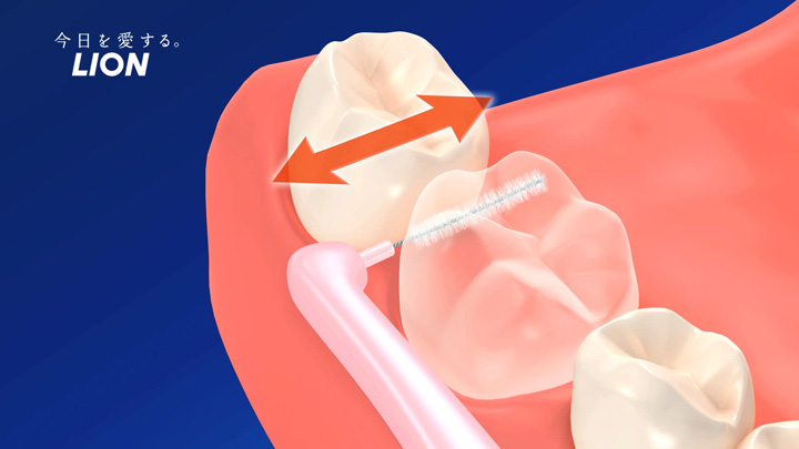 歯間ブラシを水平にして、歯と歯ぐきの境目に沿わせて2～3回動かし、歯垢を落とします。