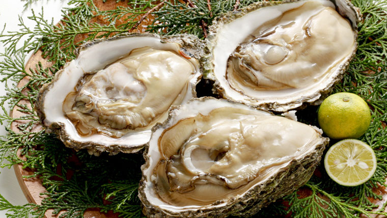 牡蠣の下ごしらえと保存方法・安全においしく食べる調理法のポイント