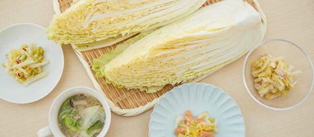 白菜を上手に冷蔵・冷凍保存!とことんおいしく使いきり!