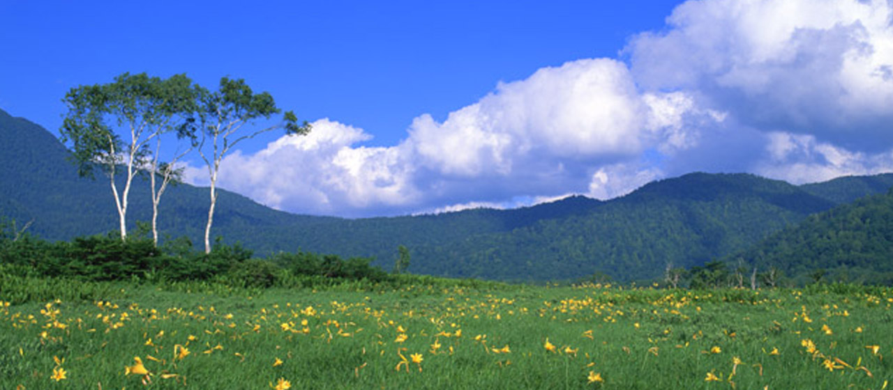 胸やけの原因とは?対処法と予防法