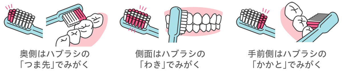 動画で学ぶ 正しい歯みがきの基本とみがき残しを防ぐコツ Lidea リディア By Lion