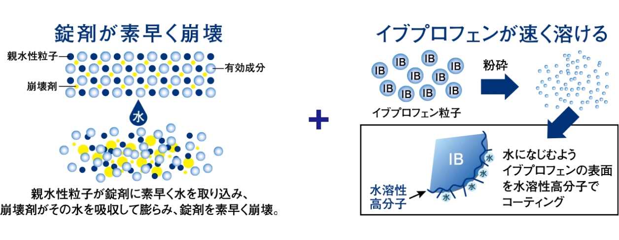 錠剤が素早く崩壊 イブプロフェンが速く溶ける親水性粒子が錠剤に素早く水を取り込み、 崩壊剤がその水を吸収して膨らみ、錠剤を素早く崩壊。水になじむようイブプロフェンの表面を水溶性高分子でコーティング