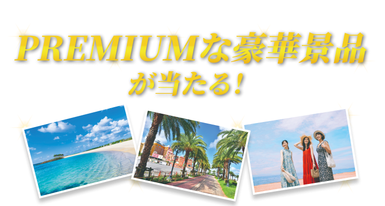 期間中の対象商品購入でプレミアムな豪華景品が当たる