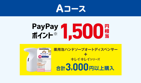 Aコース PayPayポイント※ 1,500円相当 薬用泡ハンドソープオートディスペンサー＋キレイキレイシリーズ 合計3,000円以上購入
