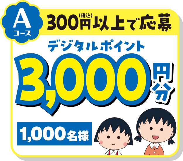 Aコース 300円（税込）以上で応募 デジタルポイント3,000円分 1,000名様