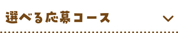 選べる応募コース