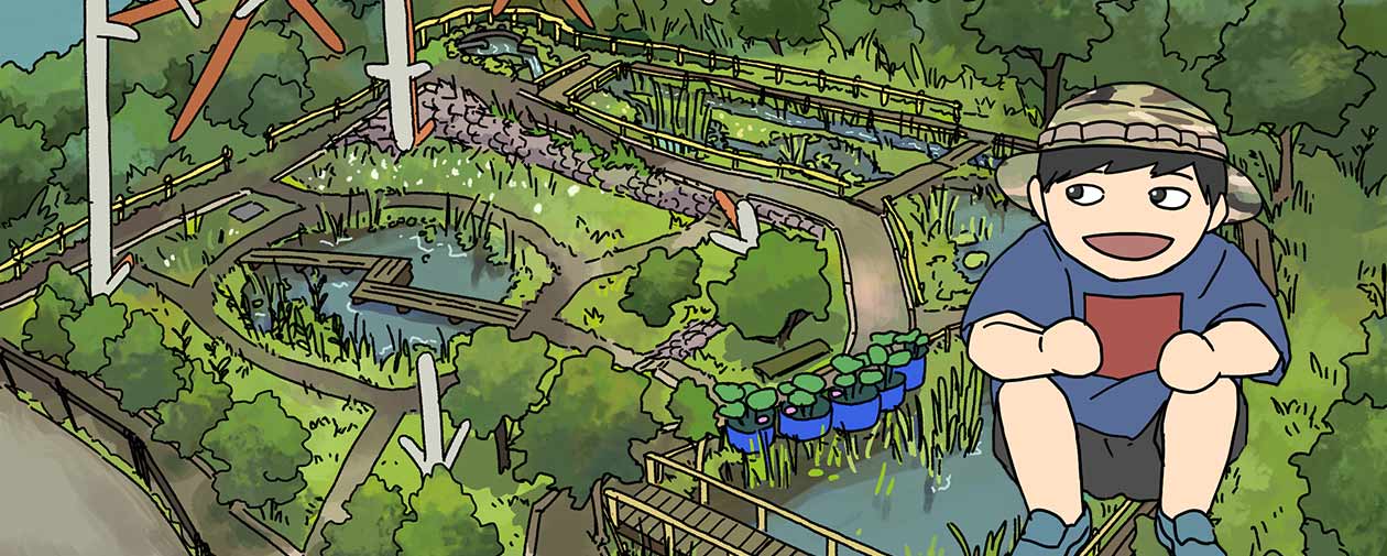 【マンガレポート】漫画家・大童澄瞳が見た、最強のライオンビオトープ!