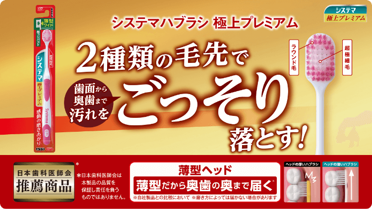 システマハブラシ 極上プレミアム